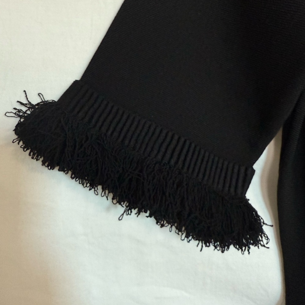 Ulla Johnson Black Fringe Long Sleeve Dress - Picture 5 of 7
